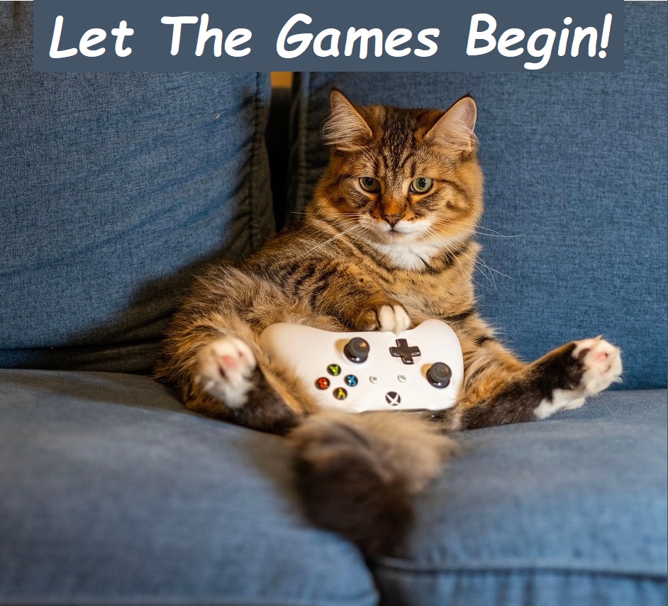cat playing video game